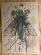 PRINT 11x15in of “Tourmaline Dragonfly”